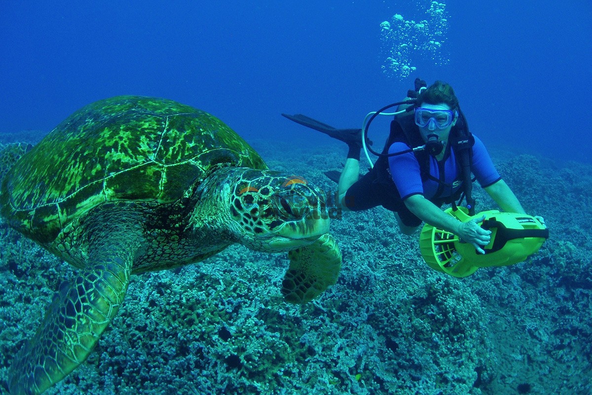 Kalkan Scuba Diving | Das Villa Aracılığıyla Akdeniz’in Derinliklerini Keşfedin